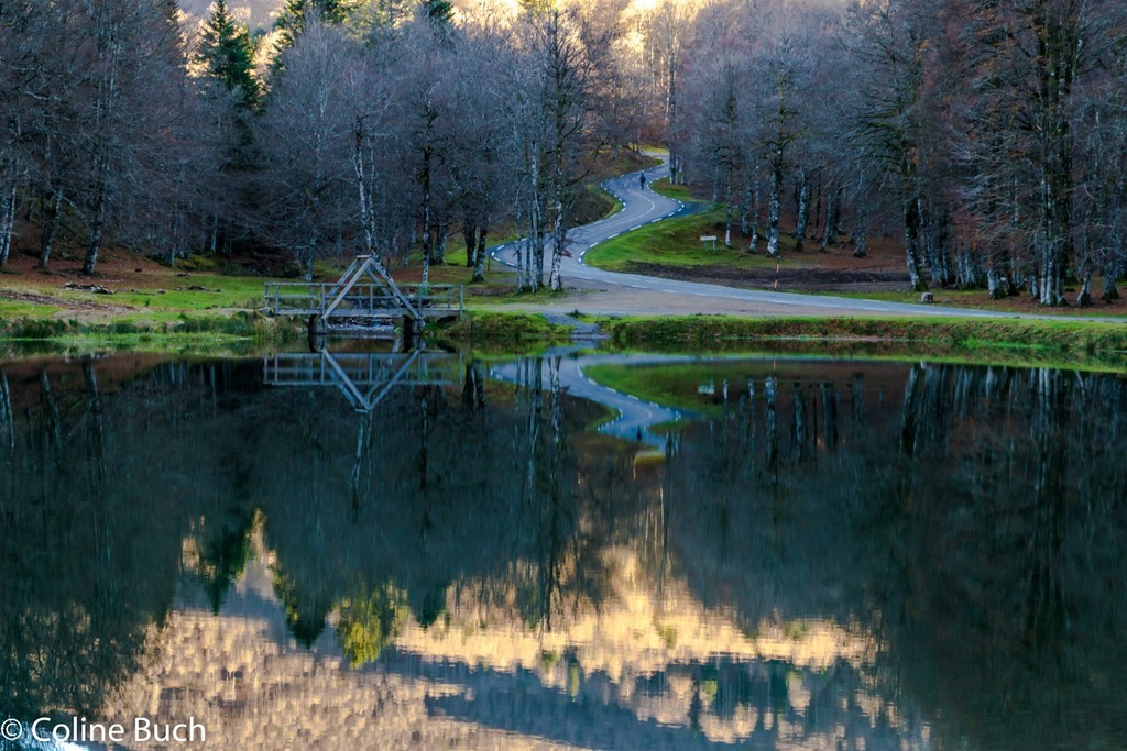route, lac, reflets, pont, bois, cycliste,forêt, Iraty, Coline Buch, guide photo, nature, la Soule, pays Basque, Aquitaine, Pyrénées, Pyrénées Atlantique, localguides