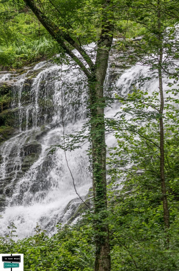 Début de parcours, randonnée, cascade, chute d'eau, arbres, Holzarté, passerelle, Pyrénées, pays Basque, 64, Aquitaine, la Soule