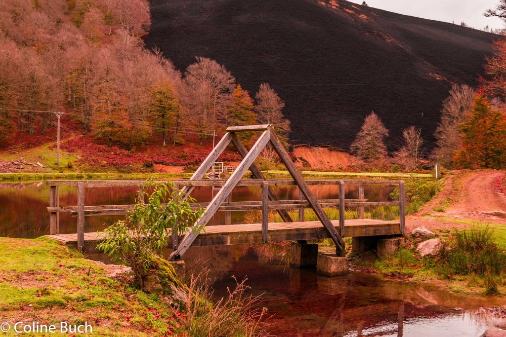 Pont, Bois, Lac d'Iraty, fougères, arbres, nature, la Soule, pays Basque, Aquitaine, Pyrénées, Pyrénées Atlantique