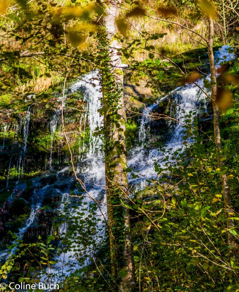 Parcours, randonnée, cascade, chute d'eau, arbres, Holzarté, passerelle, Pyrénées, pays Basque, 64, Aquitaine, la Soule