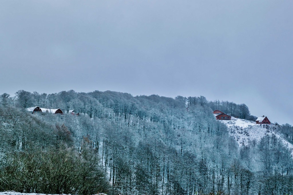 Chalet, Iraty, neige, montagne, Pyrénées, nature, Larrau, forêt, Iraty, Coline Buch, guide photo, nature, la Soule, pays Basque, Aquitaine, Pyrénées, Pyrénées Atlantique, localguides