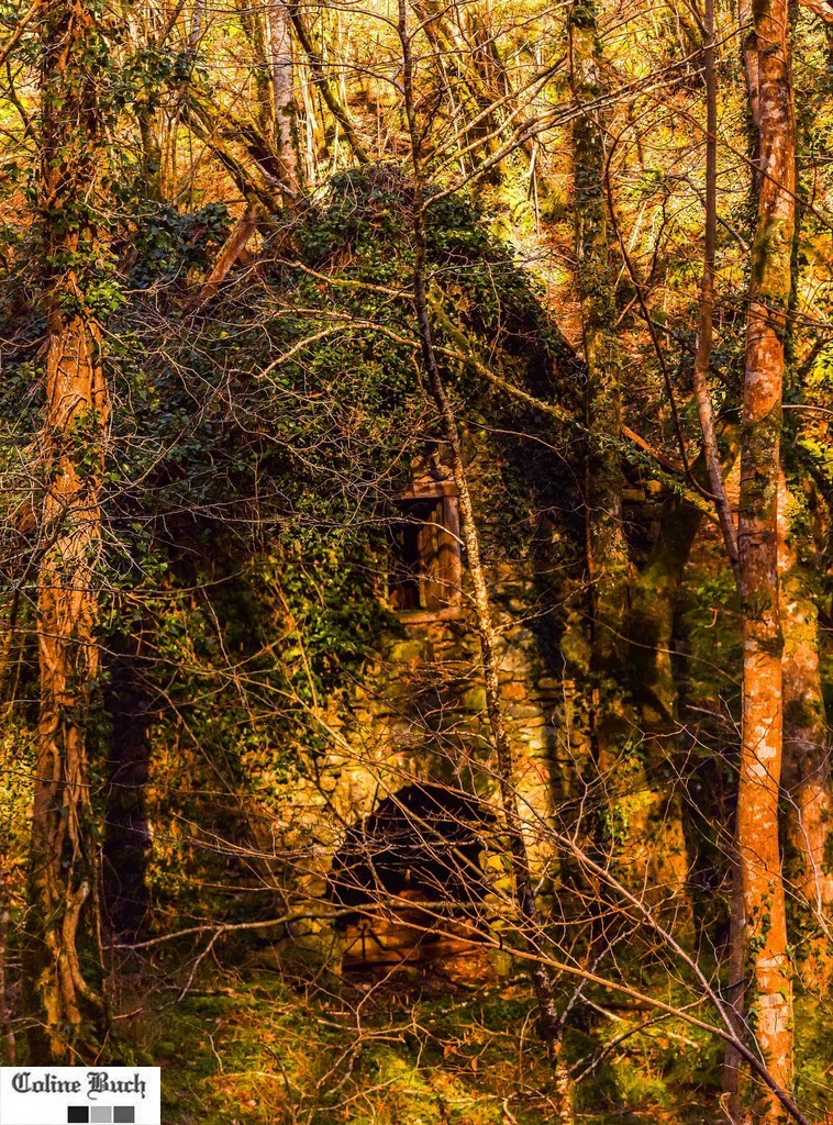 ruine, moulin, larrau, coline Buch, pays Basque, 64, Buch, Sud/Ouest, Aquitaine, La Soule, Coline