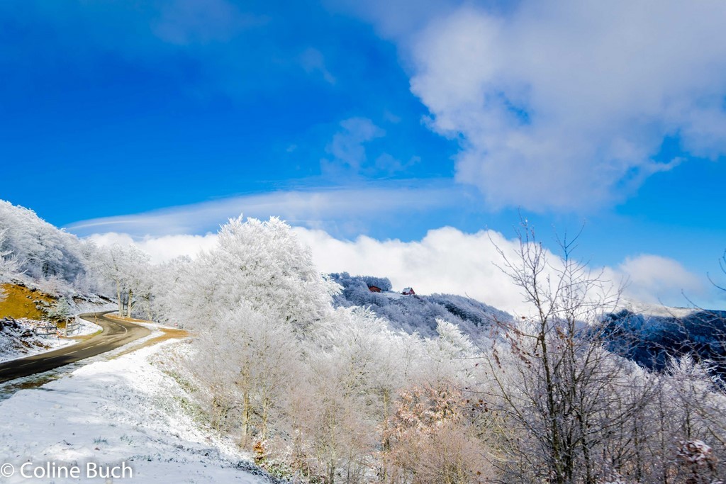 Première gelée, neige, Iraty, forêt, Iraty, Coline Buch, guide photo, nature, la Soule, pays Basque, Aquitaine, Pyrénées, Pyrénées Atlantique, localguides