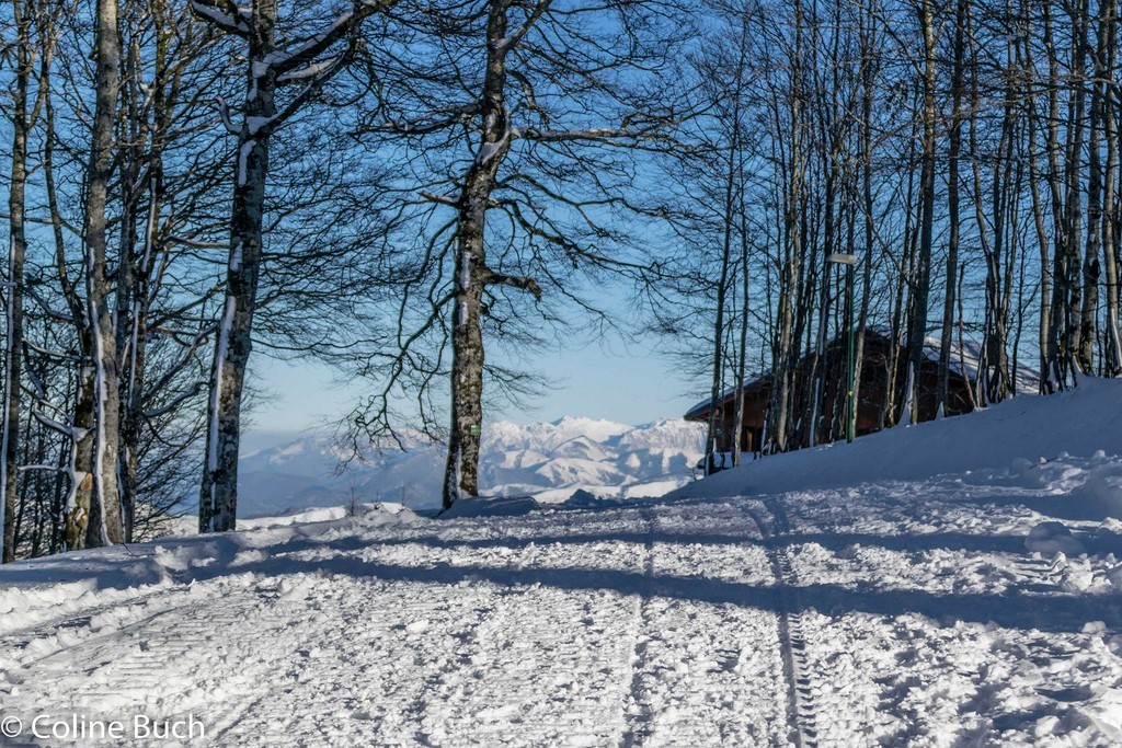 Paysage, Chalet, Iraty, neige, montagne, Pyrénées, nature, Larrau, Coline Buch