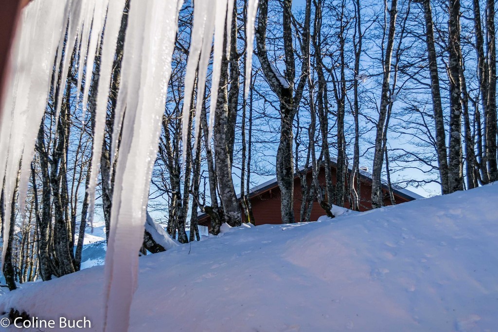 stalactite, Chalet, Iraty, neige, montagne, Pyrénées, nature, Larrau, Coline Buch