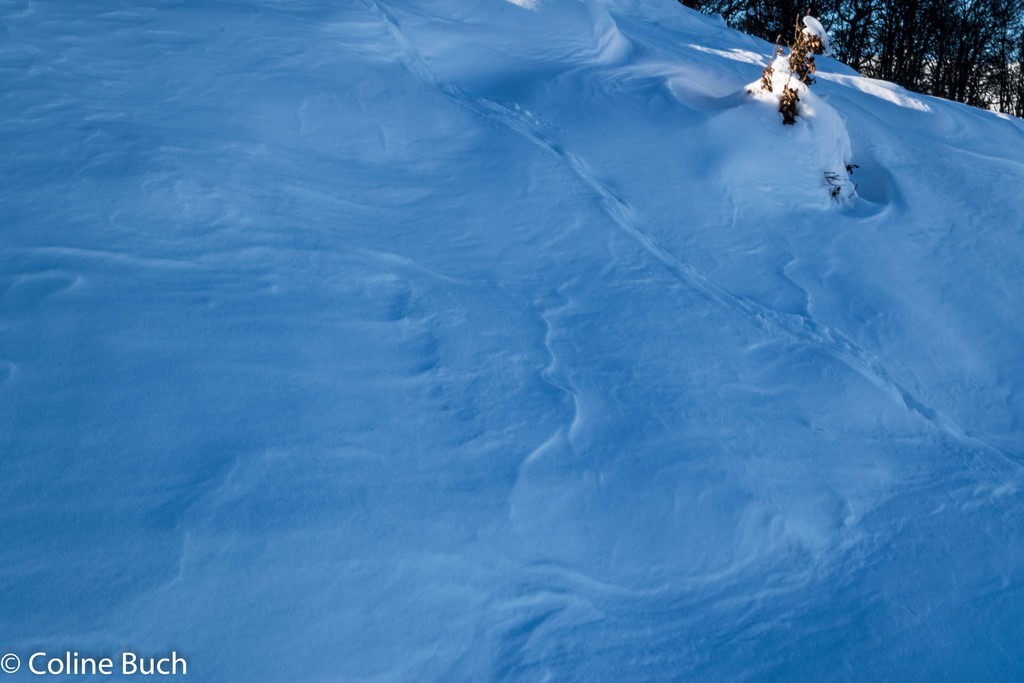 Dessin, Vent, Neige, Chalet, Iraty, neige, montagne, Pyrénées, nature, Larrau, Coline Buch
