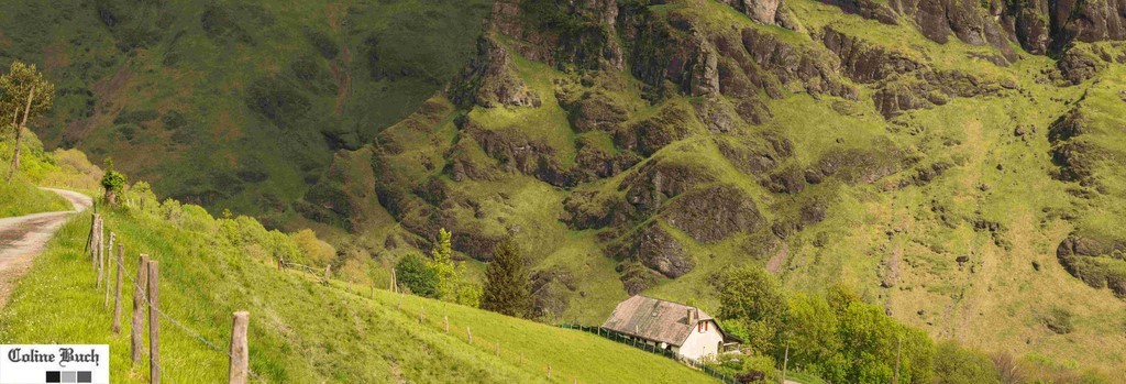 maison, palissade, barbelé, clôtures, Paysage, arbres, prairie, Soule, Larrau, Coline Buch, montagne, Pyrénées