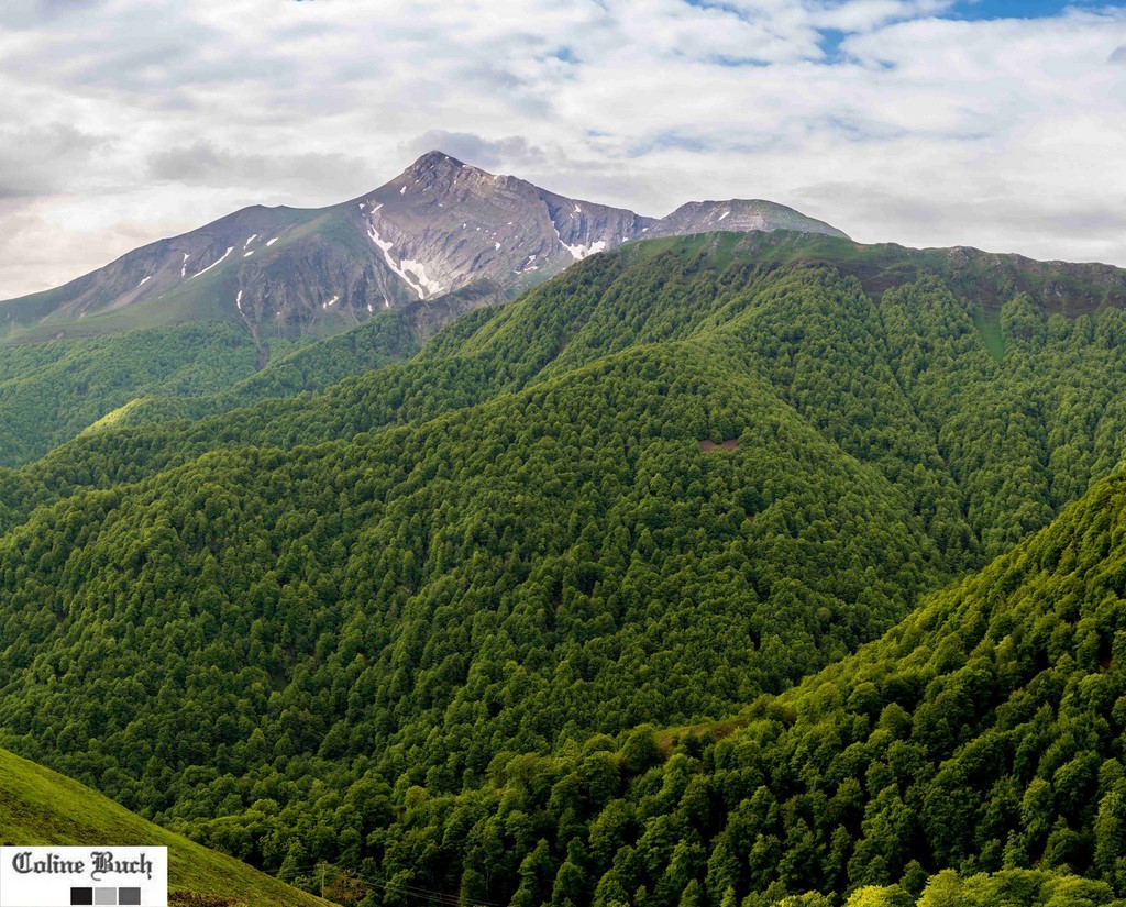 Pic, Orhy, mai,  forêt, Paysage, arbres, prairie, Soule, Larrau, Coline Buch, montagne, Pyrénées