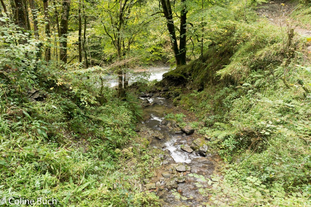 Passerelle D'Holzarte, Passerelle, Pacours, randonnée, torrent, eau, arbres, Holzarté, passerelle, Pyrénées, pays Basque, 64, Aquitaine, gorges, la Soule