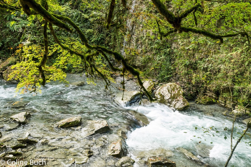 Torrent, Passerelle D'Holzarte, Passerelle, Pacours, randonnée, eau, arbres, Holzarté, passerelle, Pyrénées, pays Basque, 64, Aquitaine, gorges, la Soule