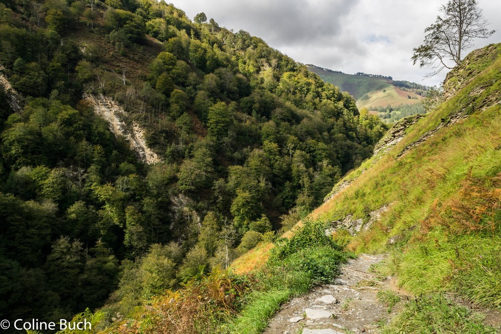 Montée difficile, Passerelle D'Holzarte, Passerelle, Pacours, randonnée, torrent, eau, arbres, Holzarté, passerelle, Pyrénées, pays Basque, 64, Aquitaine, gorges, la Soule