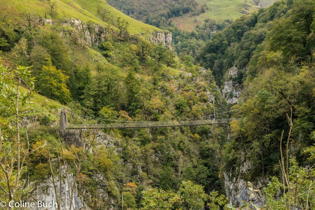 Paysage autour de la passerelle, Passerelle D'Holzarte, Passerelle, Pacours, randonnée, torrent, eau, arbres, Holzarté, passerelle, Pyrénées, pays Basque, 64, Aquitaine, gorges, la Soule