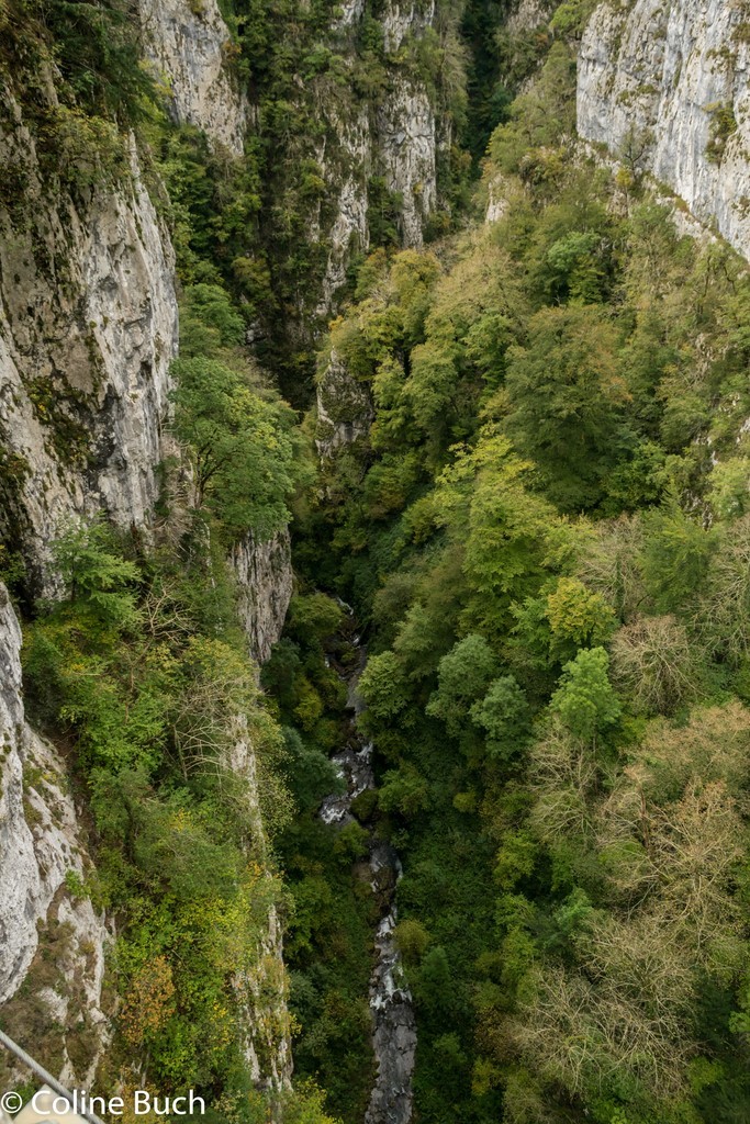 Vue gauche de la passerelle, Passerelle D'Holzarte, Passerelle, Pacours, randonnée, torrent, eau, arbres, Holzarté, passerelle, Pyrénées, pays Basque, 64, Aquitaine, gorges, la Soule