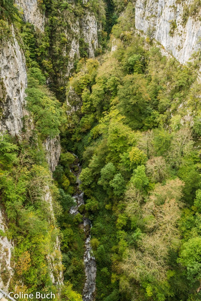 Vue droite de la passerelle, Pacours, randonnée, torrent, arbres, Holzarté, passerelle, Pyrénées, pays Basque, 64, Aquitaine, la Soule