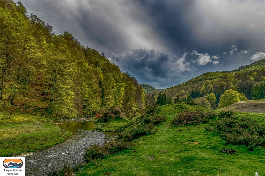 Pedro, restaurant, torrent, arbres, forêt, Iraty, Coline Buch, montagne, Pyrénées, gave